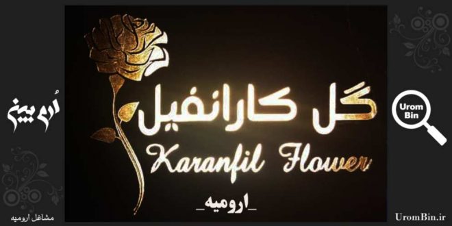 گل کارانفیل Karanfil Flower