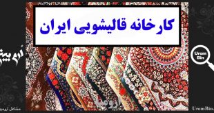 کارخانه قالیشویی ایران در ارومیه