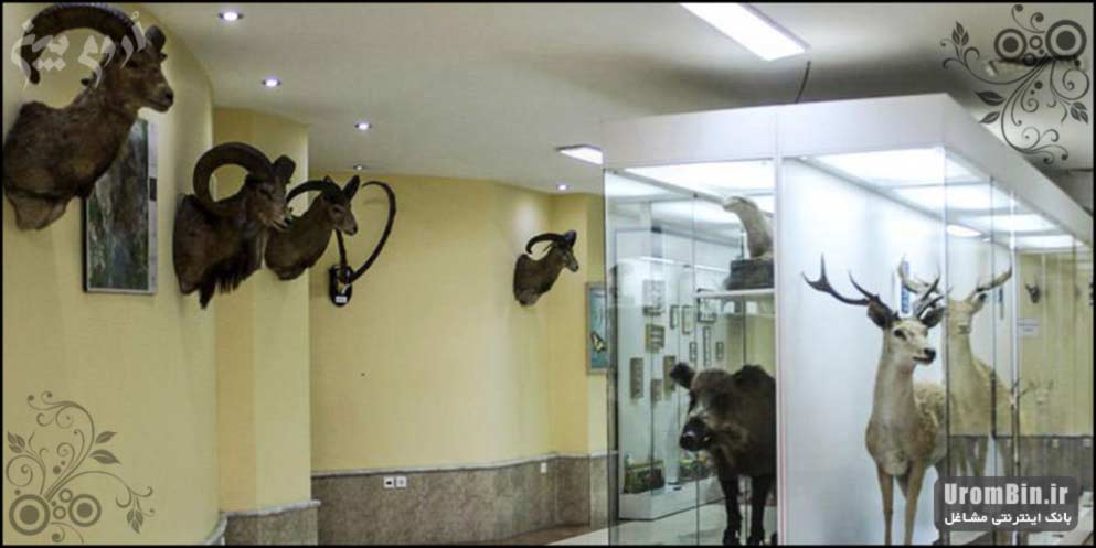 موزه-طبیعی-ارومیه
