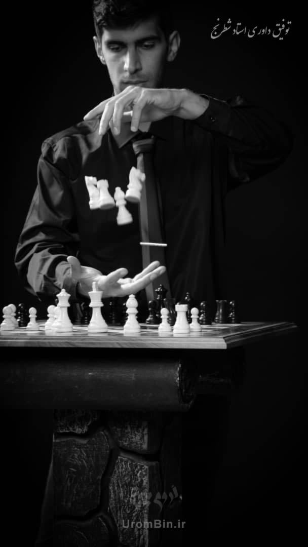 بهترین استاد شطرنج