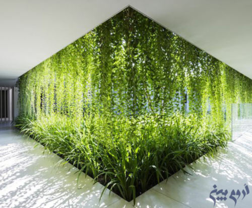 طراحی فضای سبز داخلی لابی ارومیه